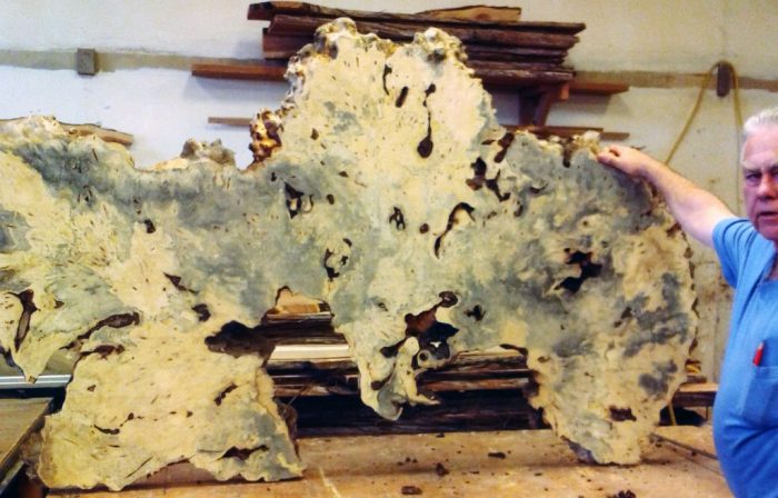 HUGE SLABS of wood call for one MIGHTY BIG DRUM SANDER -- 50