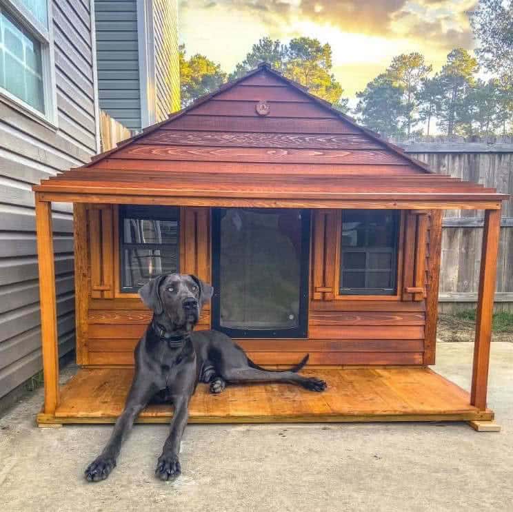 Ricky's big, big doghouse with a big, big, big dog!